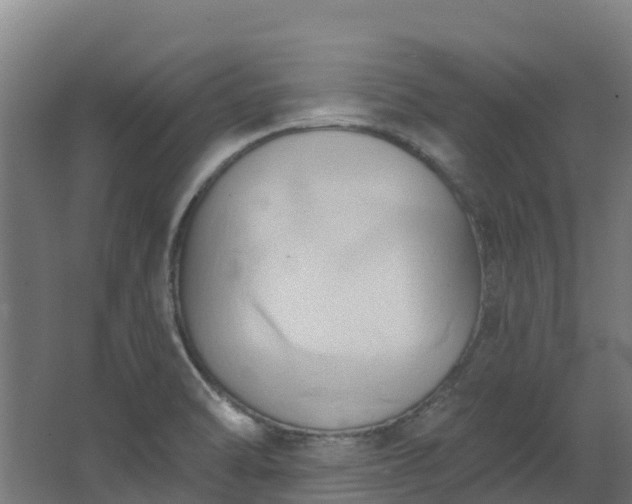 X0000068741470200605011012