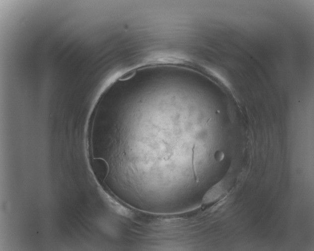 X0000068741471200605011012