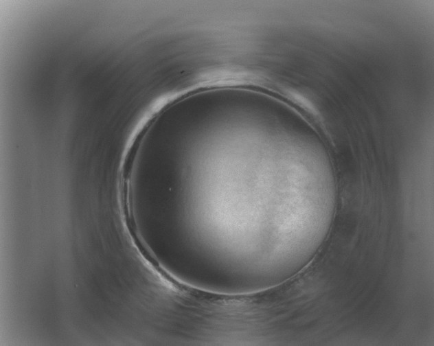 X0000068741472200605011012