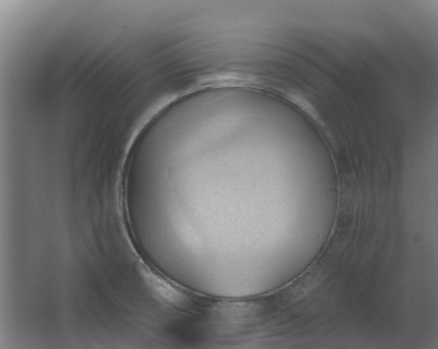 X0000068741474200605011012