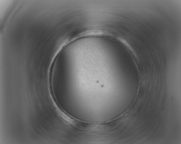 X0000068741475200605011012