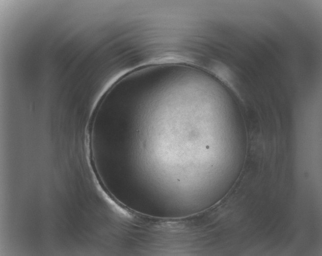 X0000068741476200605011012