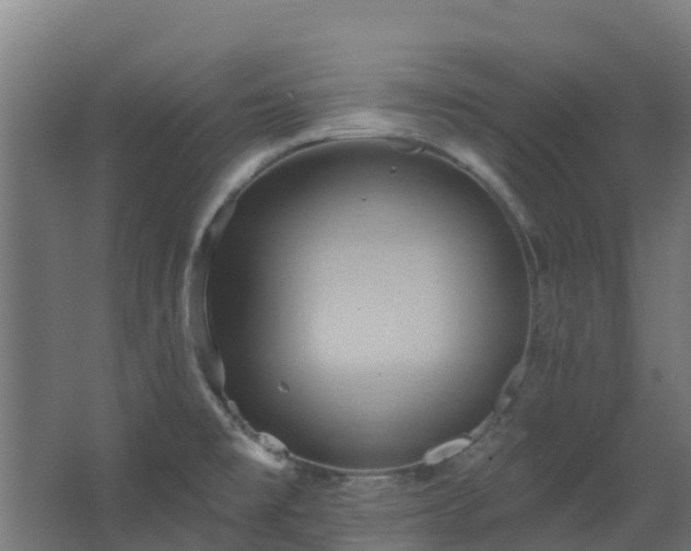 X0000068741477200605011012