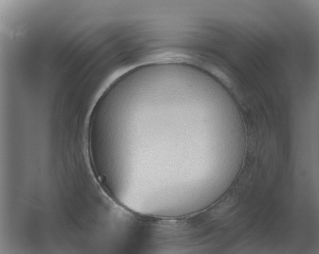 X0000068741478200605011012