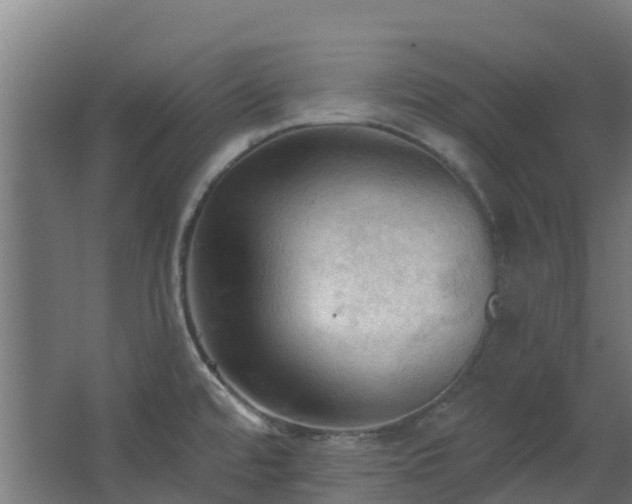 X0000068741480200605011012