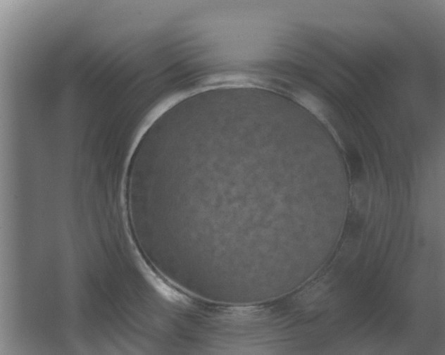 X0000068741482200605011012