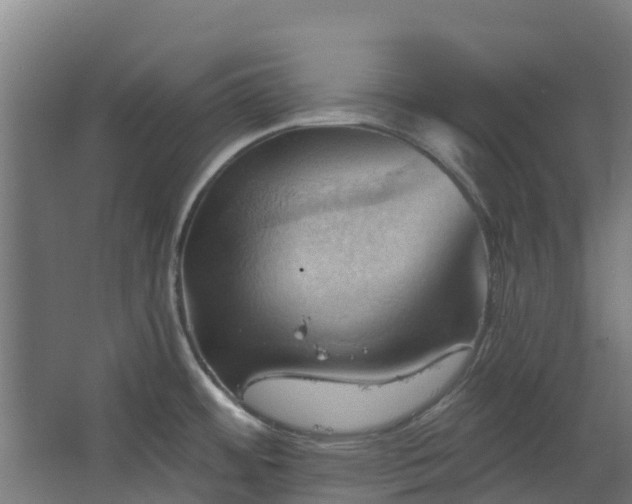 X0000068741484200605011012