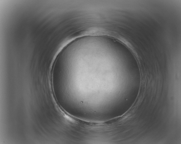 X0000068741486200605011012