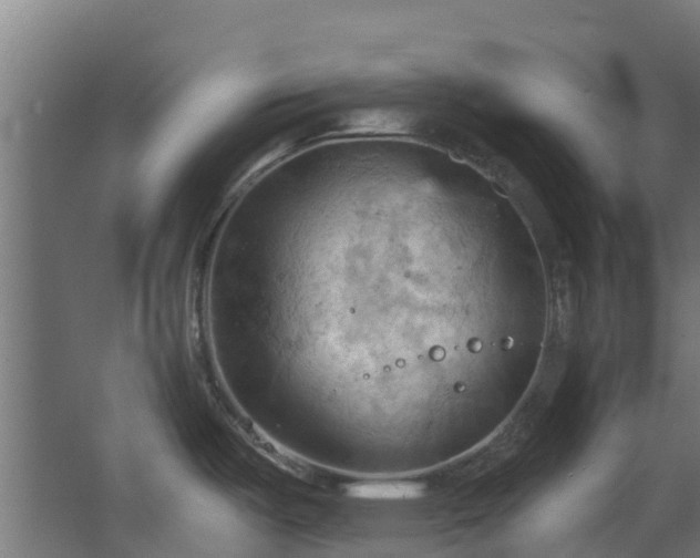 X0000068741487200605011012