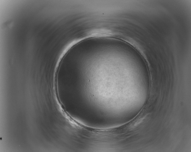 X0000068741488200605011012