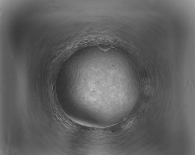 X0000068741489200605011011