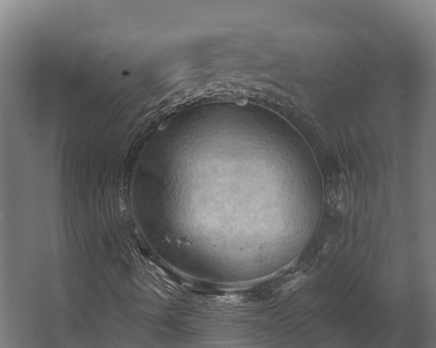 X0000068741490200605011011