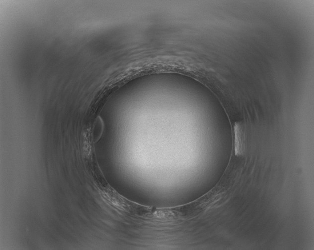 X0000068741491200605011011