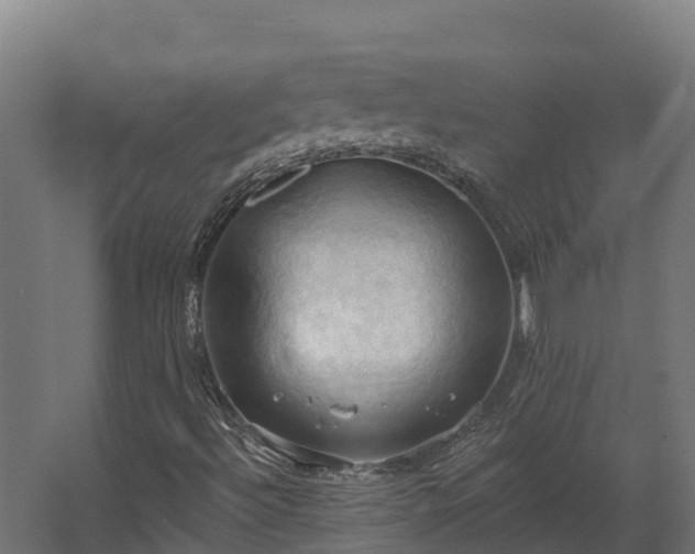 X0000068741492200605011011