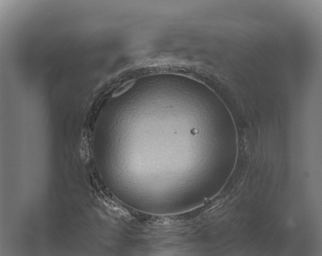 X0000068741493200605011011