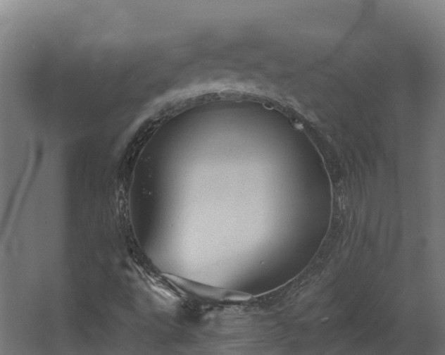 X0000068741495200605011011