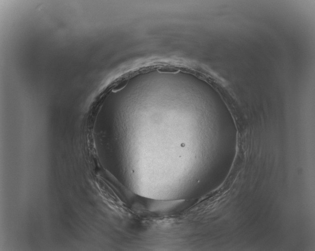 X0000068741496200605011011