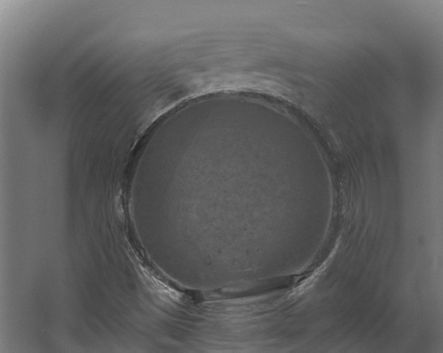 X0000068741497200605011011