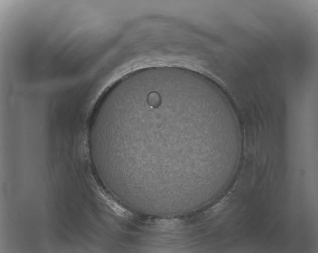 X0000068741498200605011011