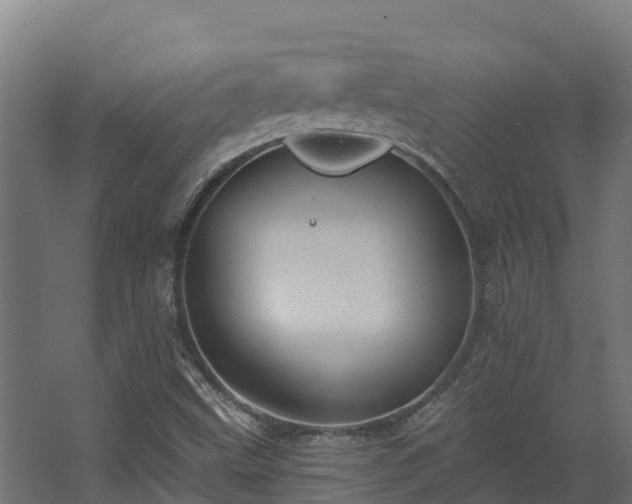 X0000068741499200605011011