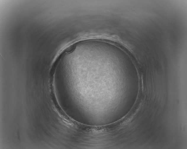 X0000068741501200605011011