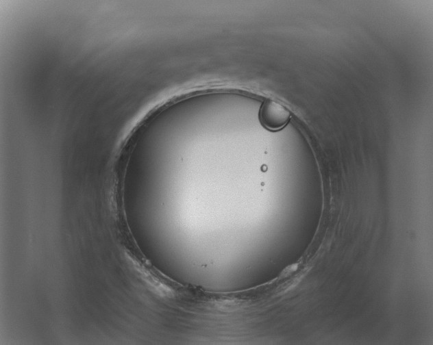 X0000068741502200605011011