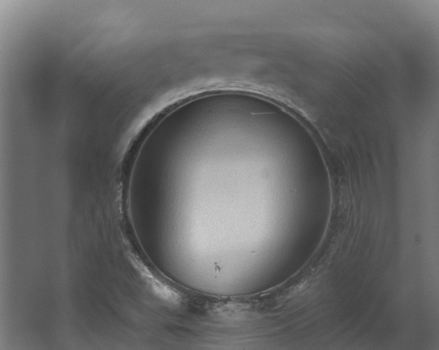 X0000068741503200605011012