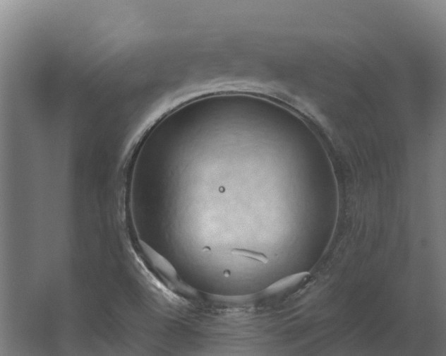 X0000068741504200605011012