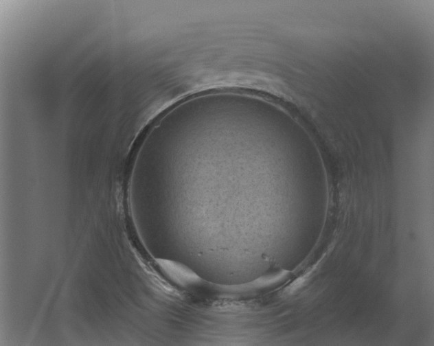 X0000068741505200605011012