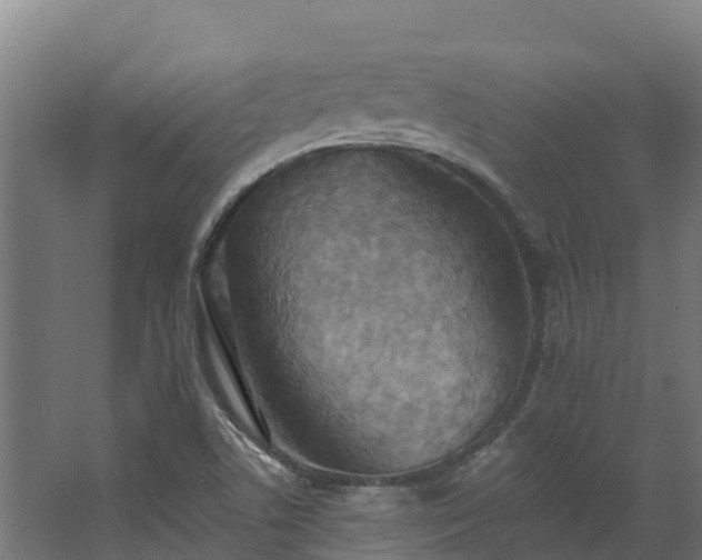 X0000068741506200605011012