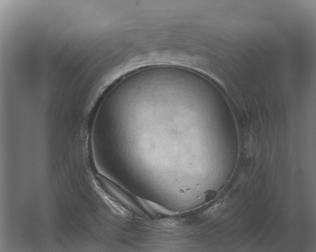 X0000068741507200605011012