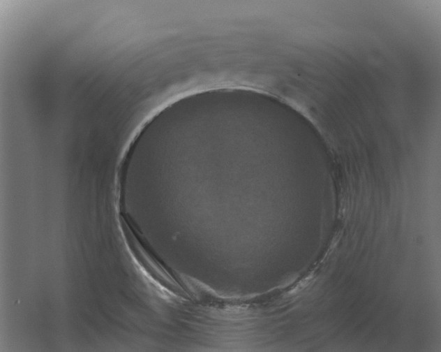 X0000068741508200605011012