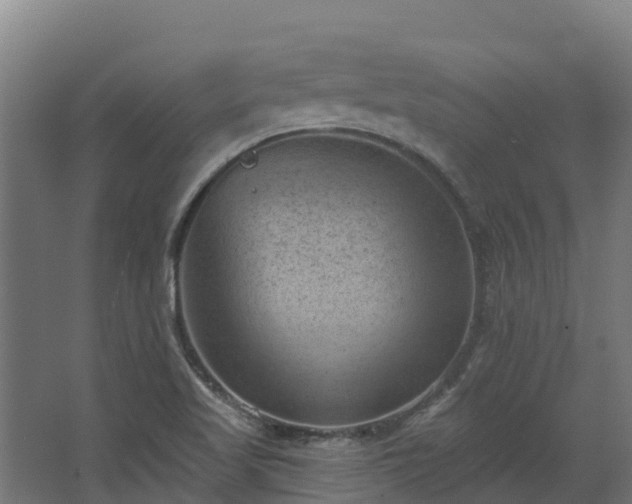 X0000068741509200605011012