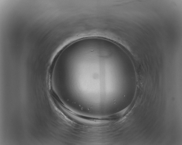 X0000068741510200605011012