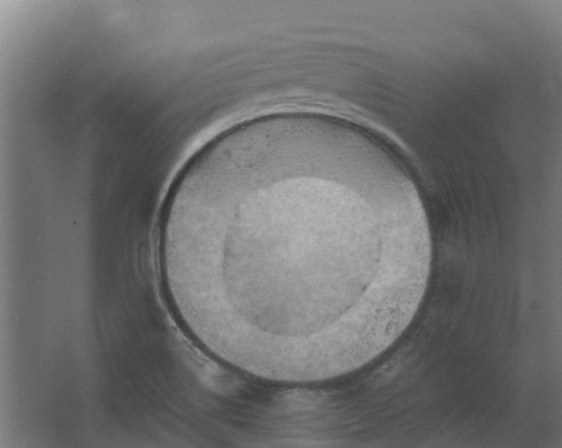 X0000068741514200605011012