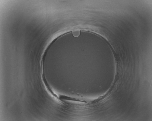 X0000068741515200605011012