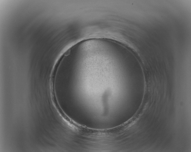 X0000068741517200605011012