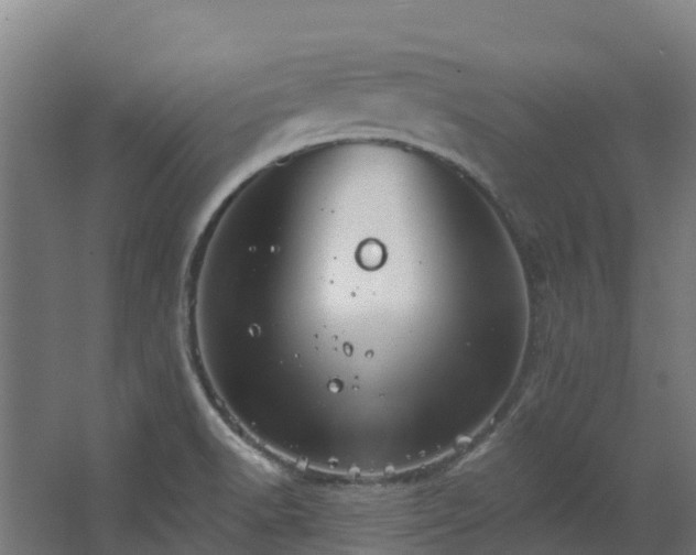 X0000068741518200605011012