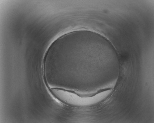 X0000068741519200605011012