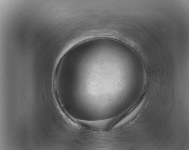 X0000068741520200605011012