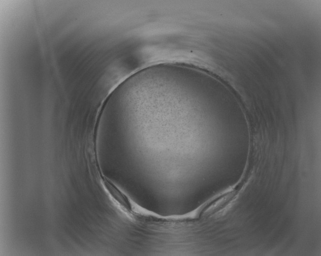 X0000068741521200605011012