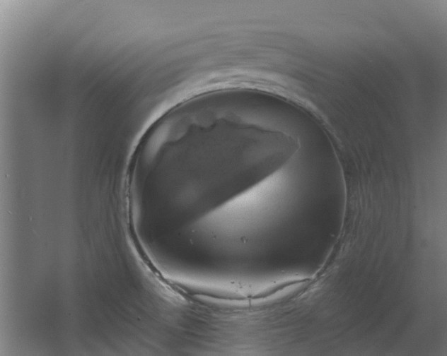 X0000068741522200605011012