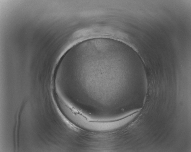 X0000068741523200605011012