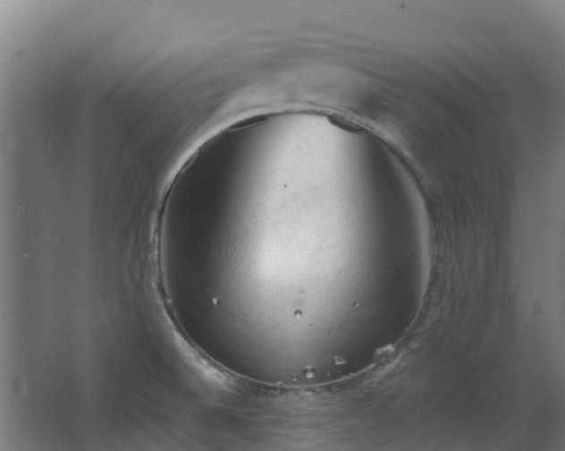 X0000068741524200605011012