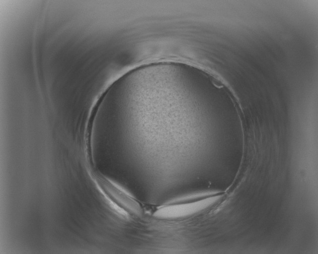 X0000068741525200605011012