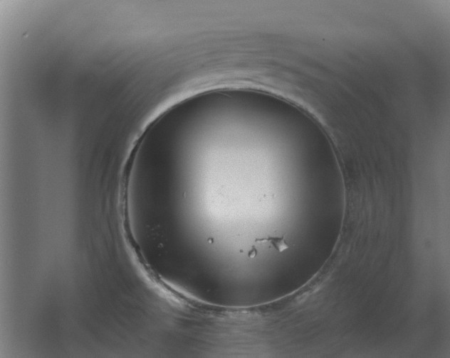 X0000068741526200605011012