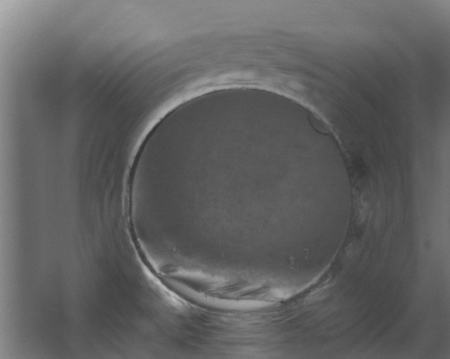 X0000068741527200605011012