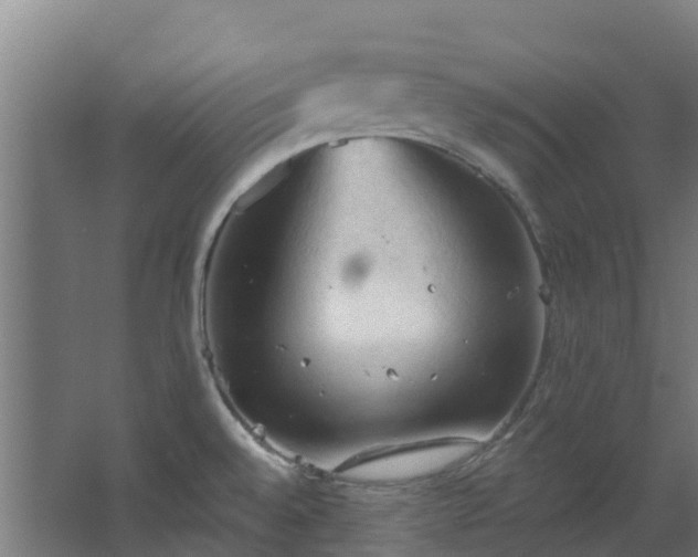 X0000068741528200605011012