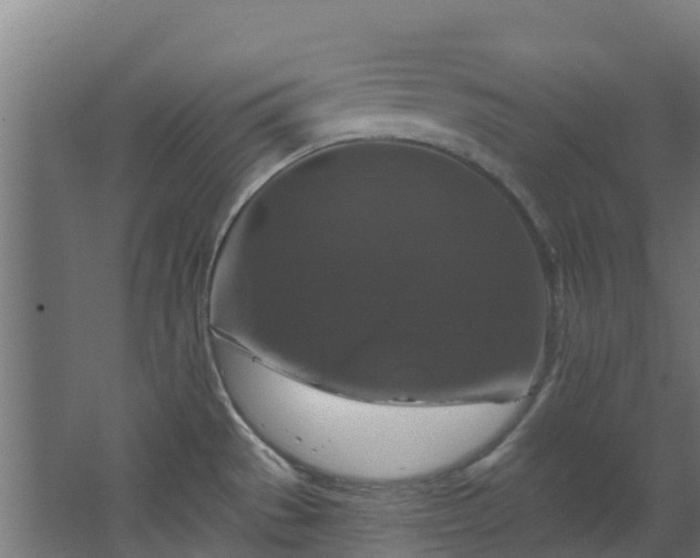 X0000068741529200605011012