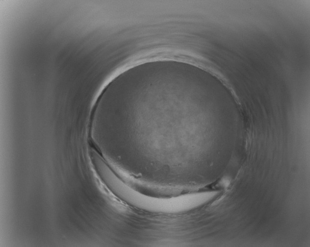 X0000068741530200605011012